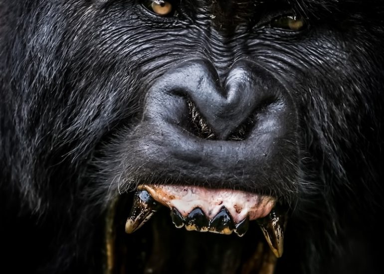 Rwanda