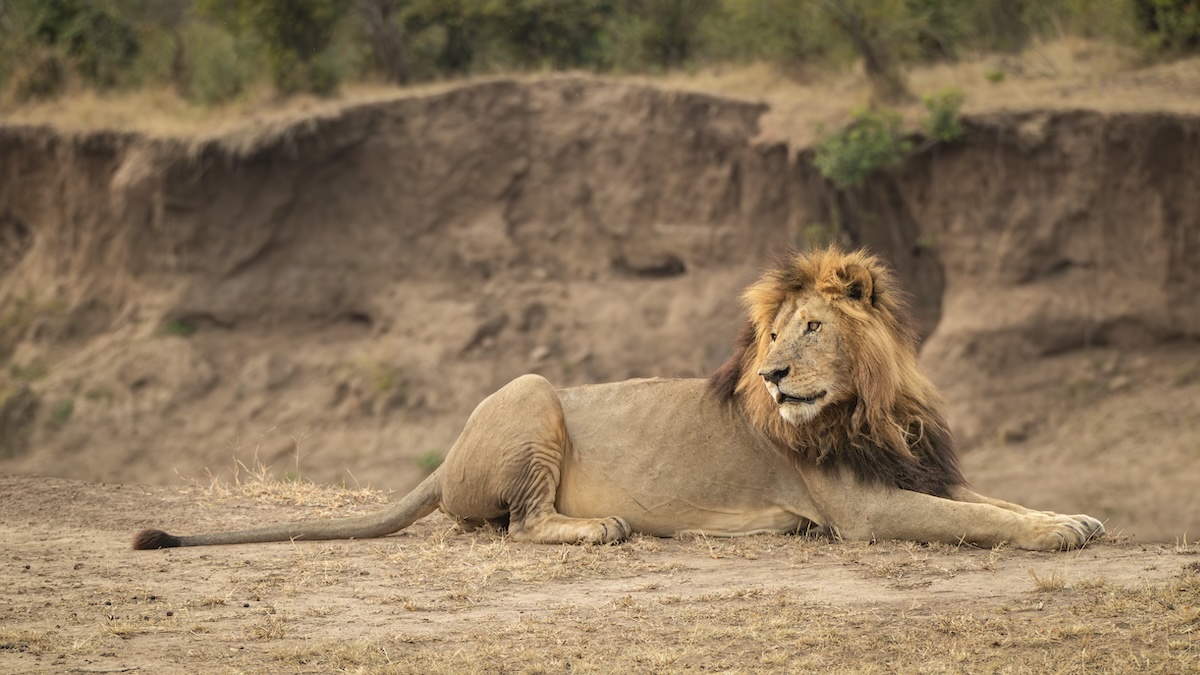 Kenya