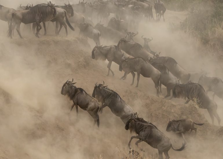 Kenya