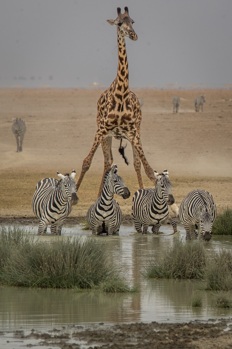 Kenya