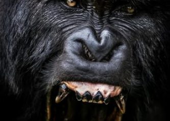 Rwanda