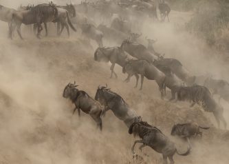 Kenya